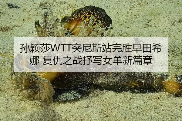 sun-ying-sha-tu-ni-si-zhan-wan-sheng-zao-tian-xi-na-fu-chou-zhi-zhan-shu-xie-nv-dan-xin-pian-zhang-2-571.jpg